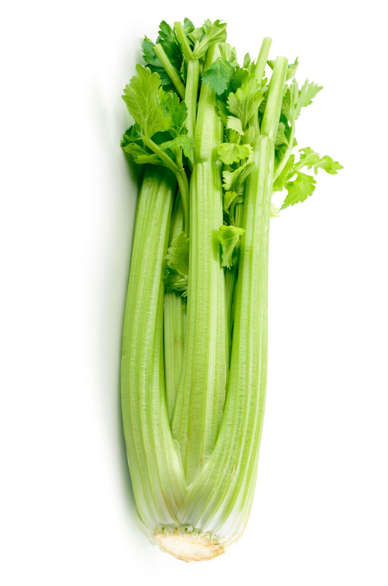 Celery (kg) RB Patel Group